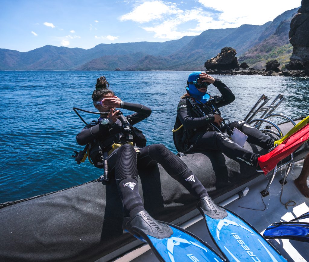 What You Will Want in Komodo Diving Liveaboard